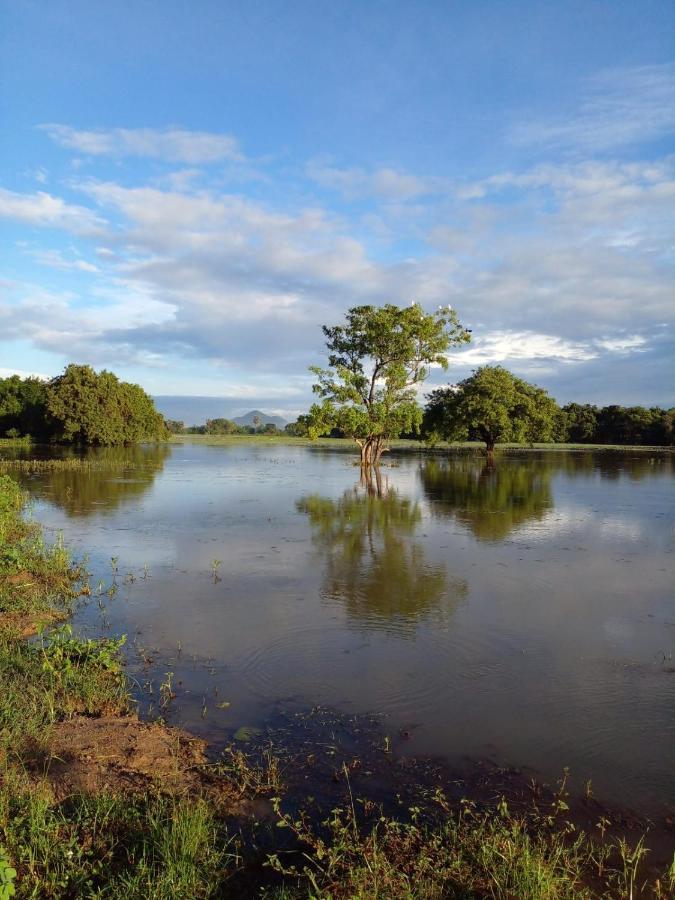 Lake Edge Dambulla Esterno foto