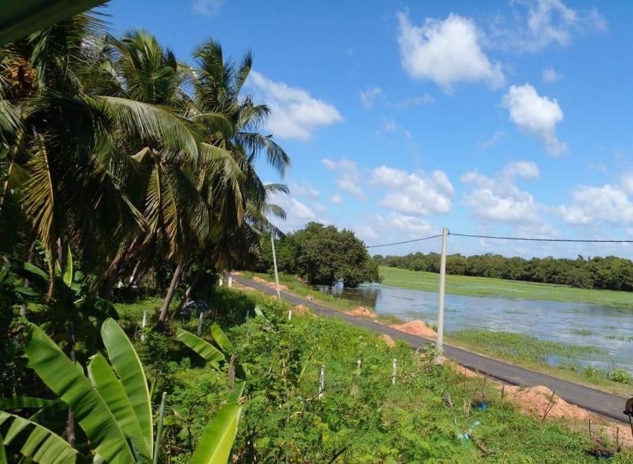 Lake Edge Dambulla Esterno foto