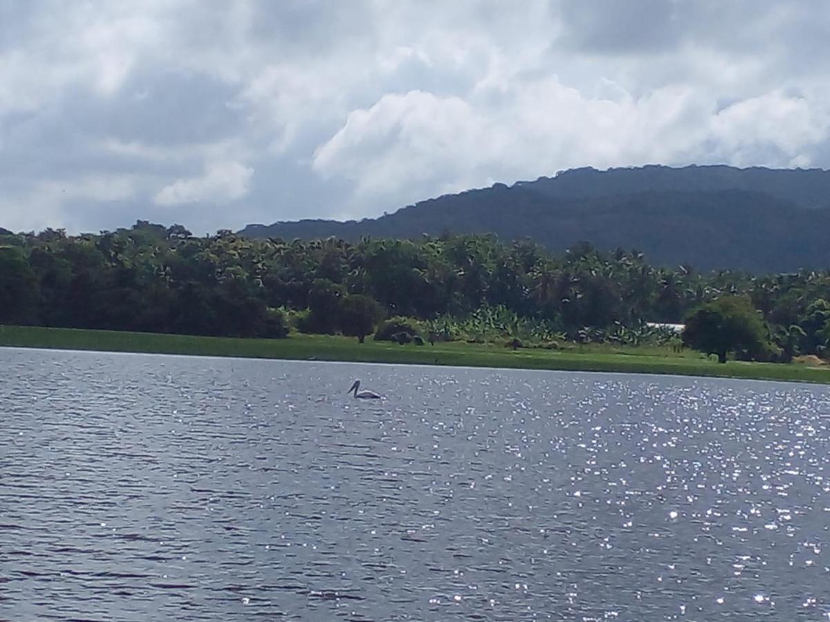 Lake Edge Dambulla Esterno foto