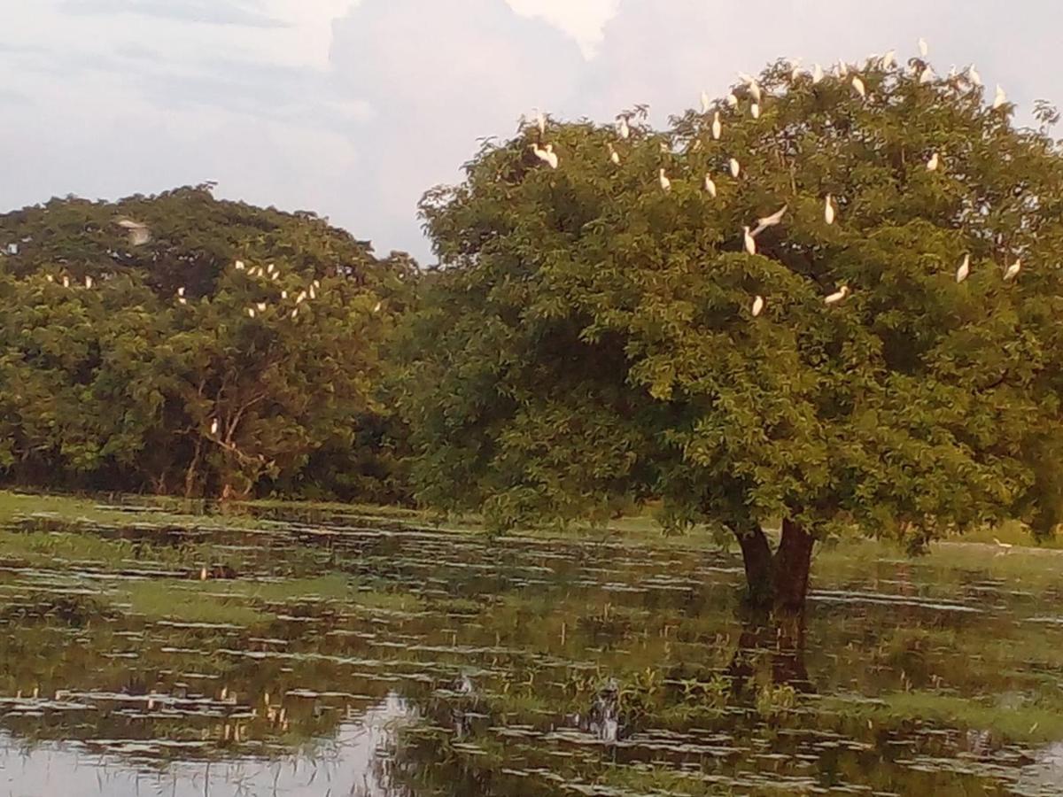 Lake Edge Dambulla Esterno foto