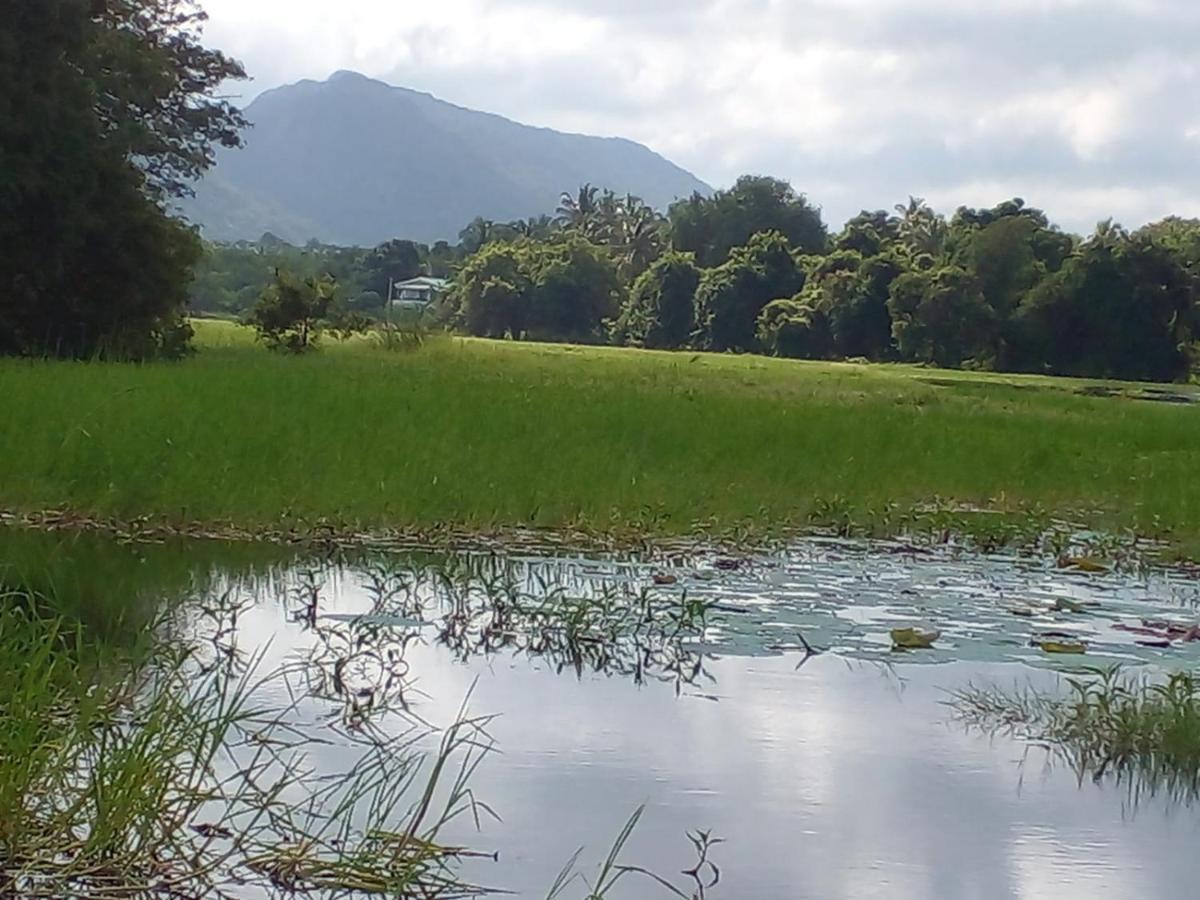 Lake Edge Dambulla Esterno foto