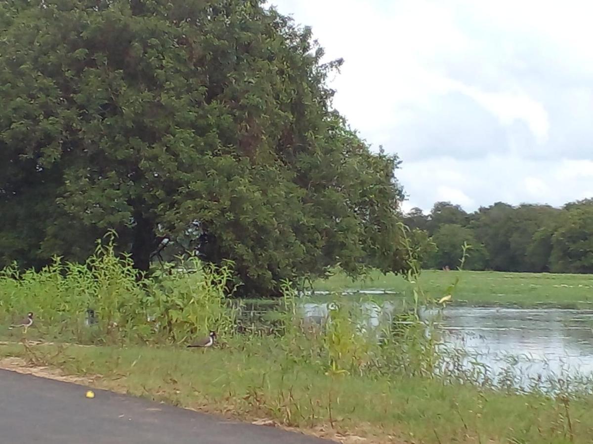 Lake Edge Dambulla Esterno foto