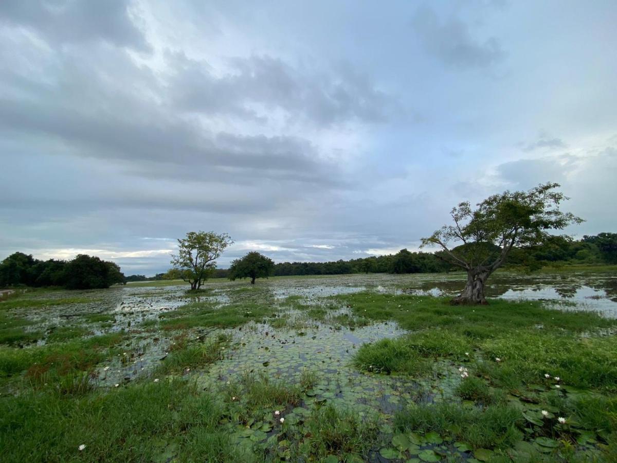 Lake Edge Dambulla Esterno foto